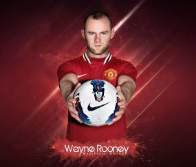 如何使用宝威体育下载功能介绍